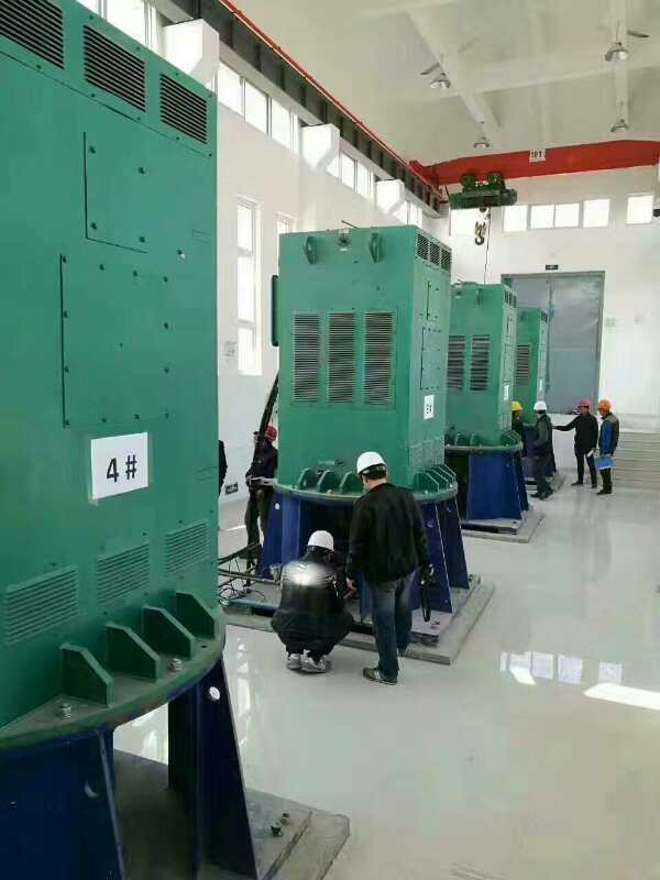 西宁某污水处理厂使用我厂的立式高压电机安装现场